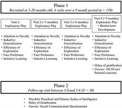 Frontiers The Efficiency of Infants Exploratory Play Is Related